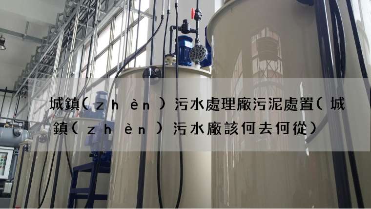城鎮(zhèn)污水處理廠污泥處置(城鎮(zhèn)污水廠該何去何從)